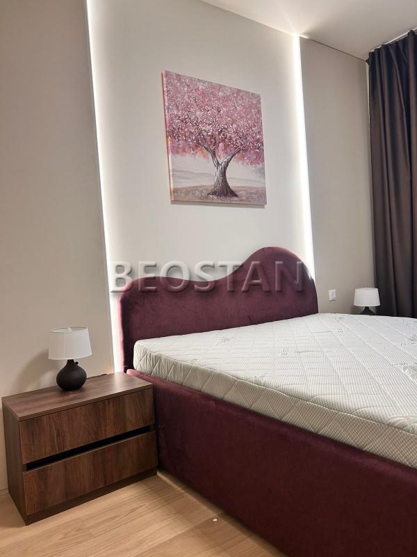 Centar - Beograd na vodi BW #65359