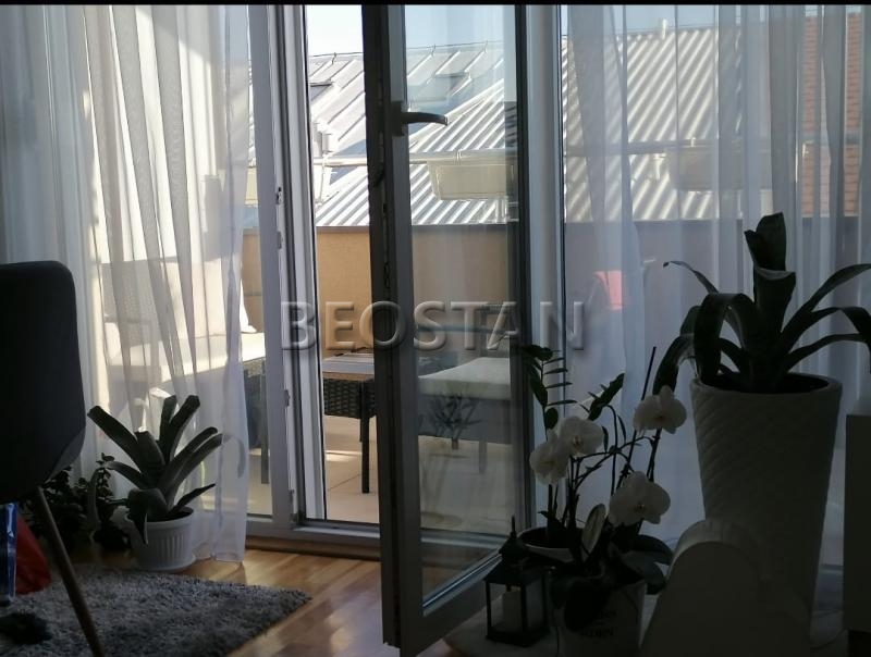 Centar - Vracar lekino brdo #65987