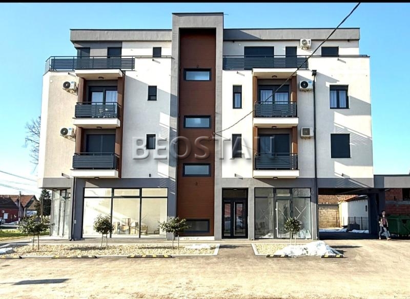 Lokal - Surcin #66081