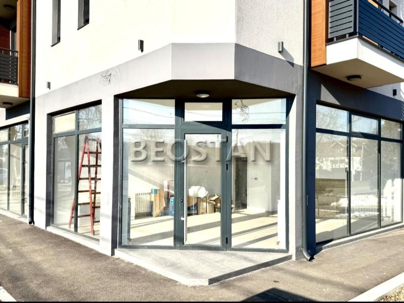 Lokal - Surcin #66081