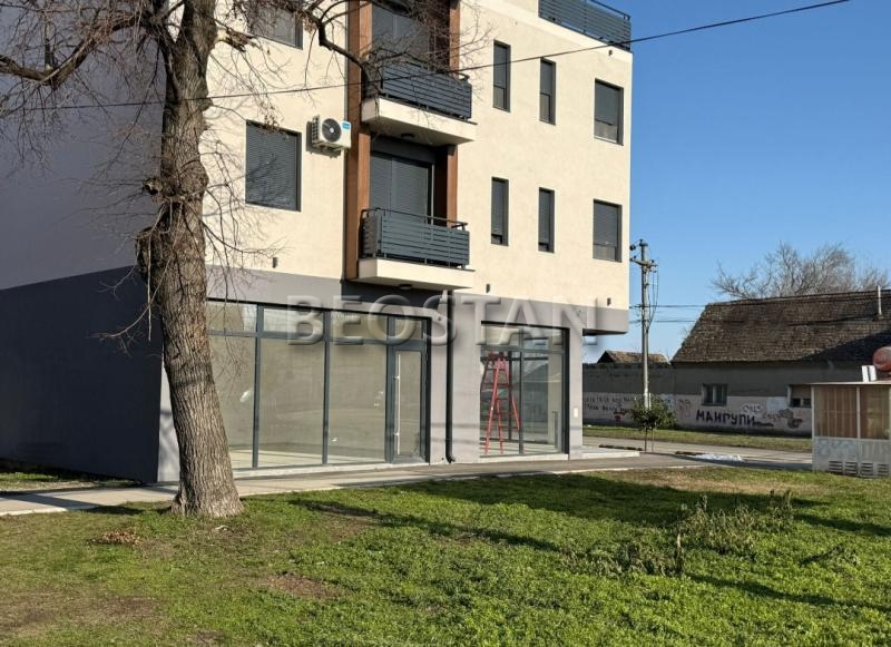 Lokal - Surcin #66081