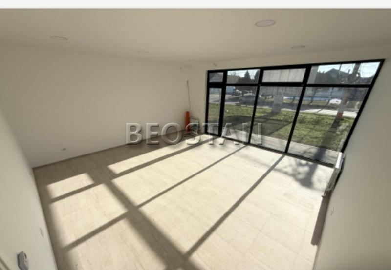 Lokal - Surcin #66081