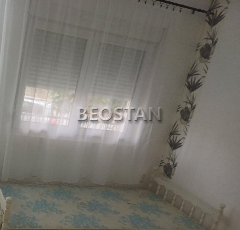 Zemun - Batajnica #1965683