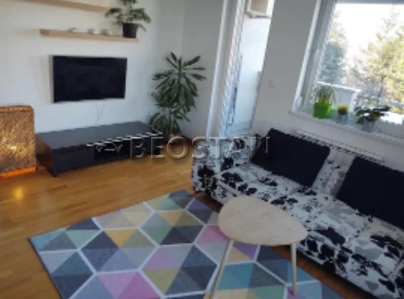 Izdavanje stanova Beograd - Novi Beograd