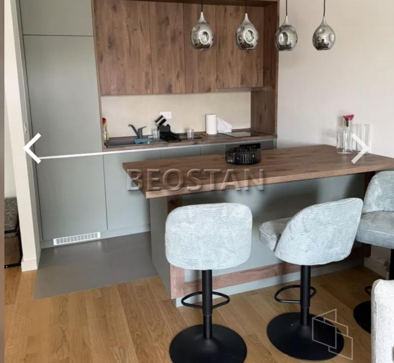 Izdavanje stanova Beograd - Novi Beograd