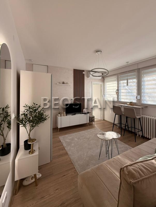 Izdavanje stanova Beograd - Novi Beograd