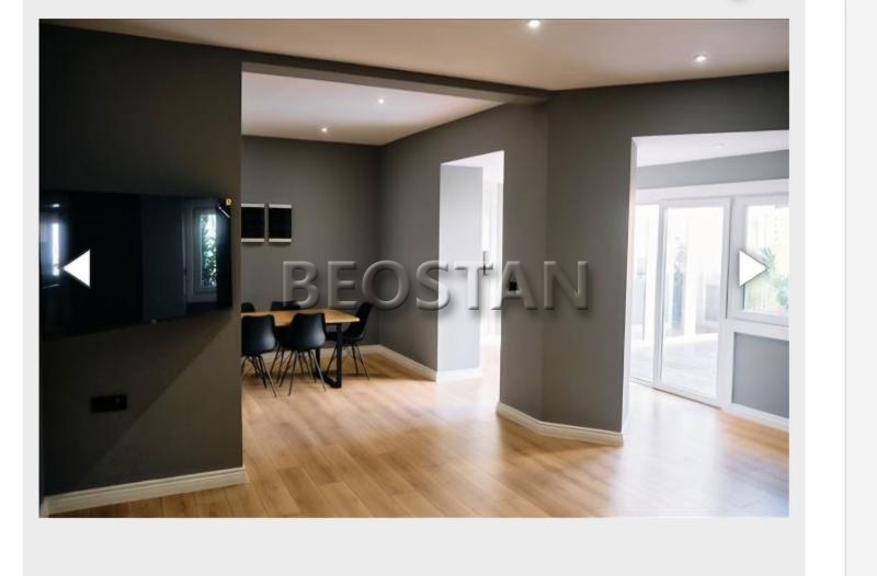 Centar - Djeram lion #65106