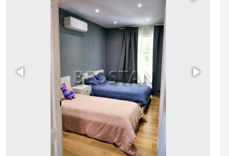 Centar - Djeram lion #65106