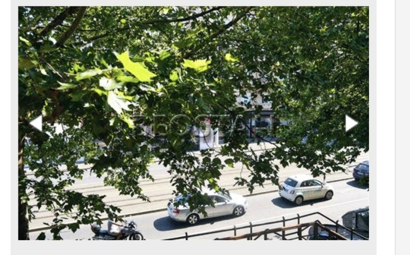 Centar - Djeram lion #65106