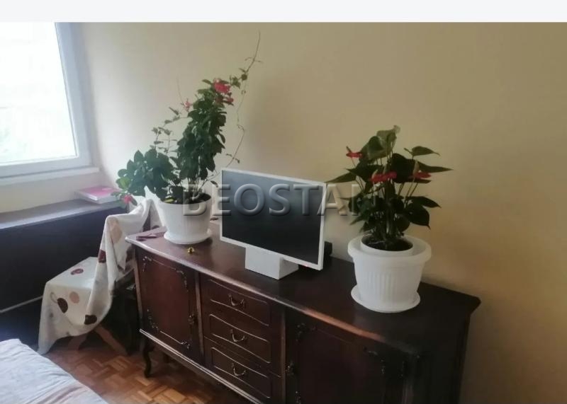 Izdavanje stanova Beograd - Novi Beograd