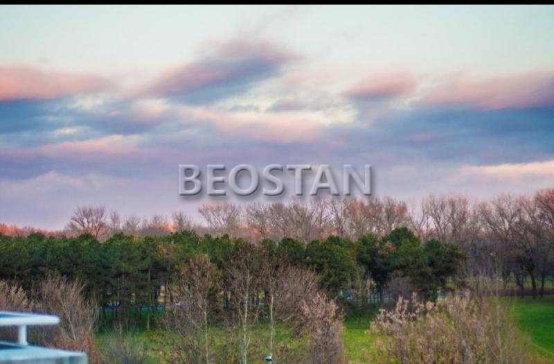 Novi Beograd - Yubc blok 12 #65323