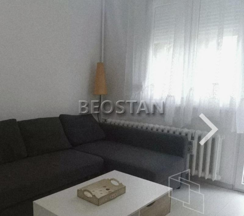 Izdavanje stanova Beograd - Novi Beograd