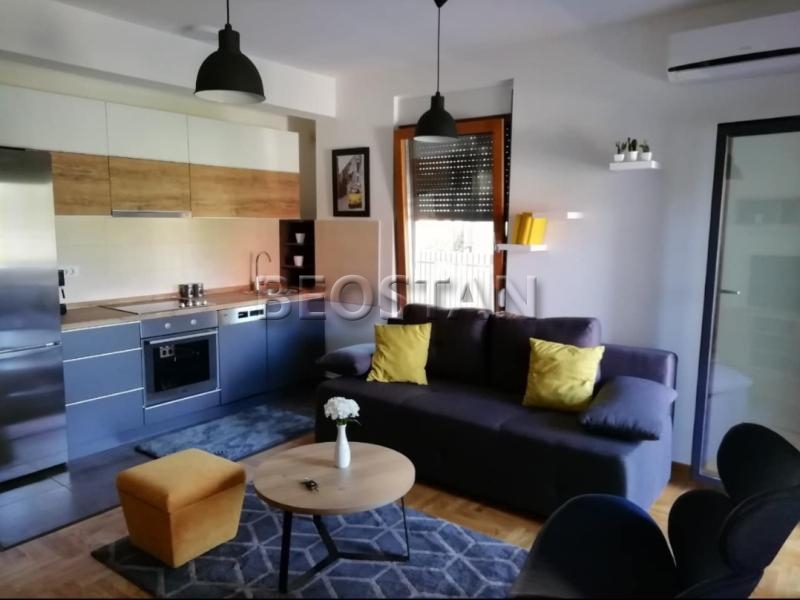 Centar - Zvezdara kluz #65161