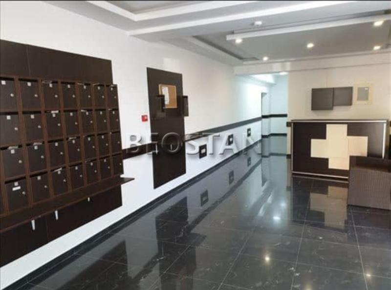 Centar - Zvezdara kluz #65161