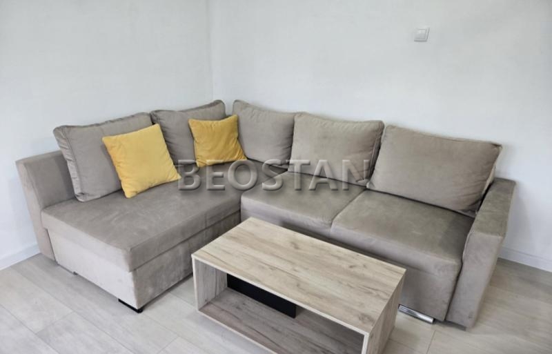 Izdavanje stanova Beograd - Novi Beograd