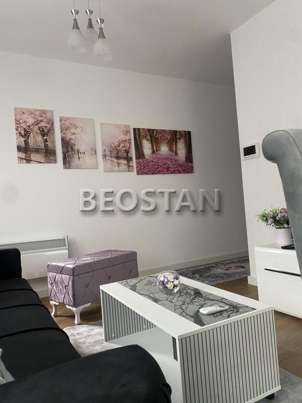 Širi centar - Surcin ledine #65149