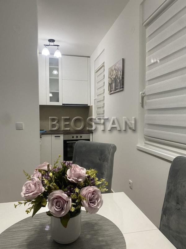 Širi centar - Surcin ledine #65149