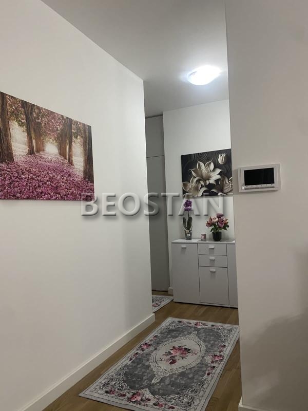 Širi centar - Surcin ledine #65149