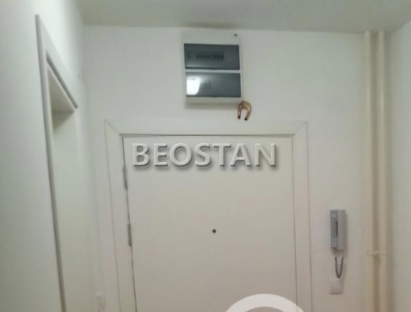 Novi Beograd - Dr ivana ribara #65340