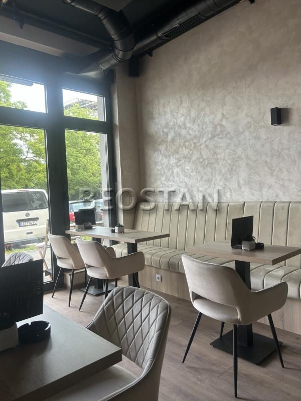 Lokal - Zemun zemona #68879