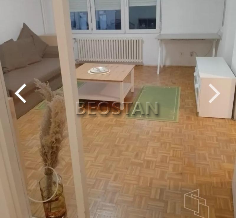 Izdavanje stanova Beograd - Novi Beograd