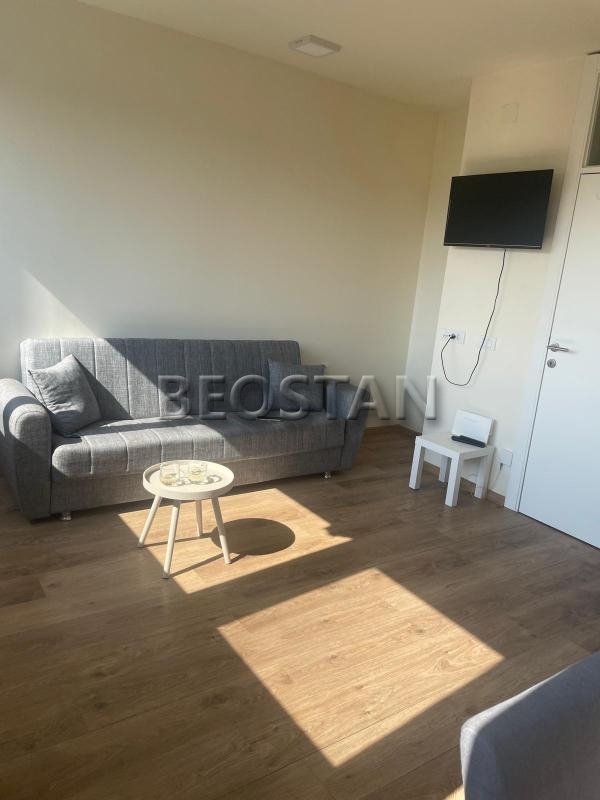 Izdavanje stanova Beograd - Novi Beograd