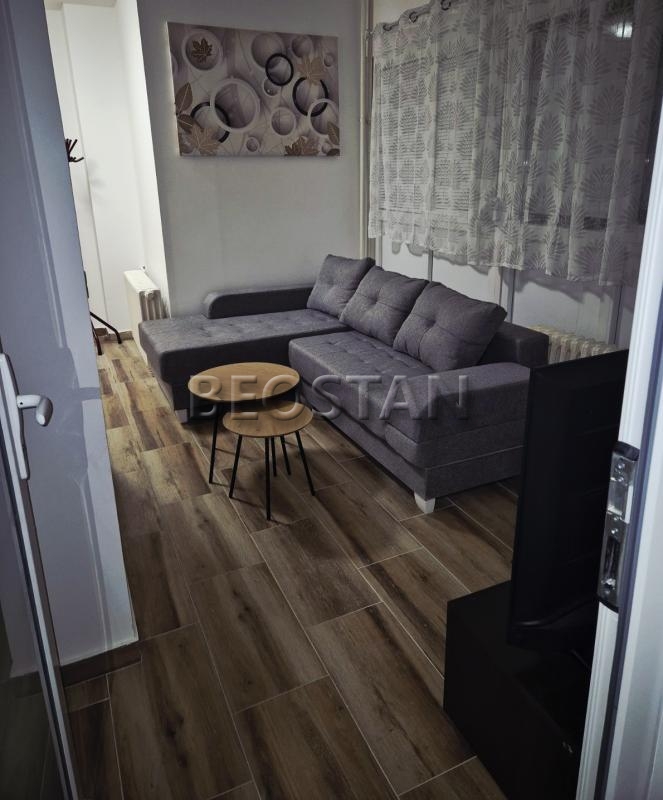 Izdavanje stanova Beograd - Novi Beograd