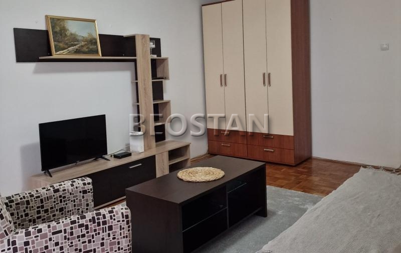 Izdavanje stanova Beograd - Novi Beograd