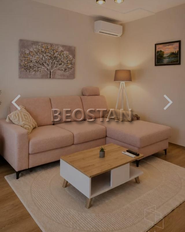 Izdavanje stanova Beograd - Novi Beograd