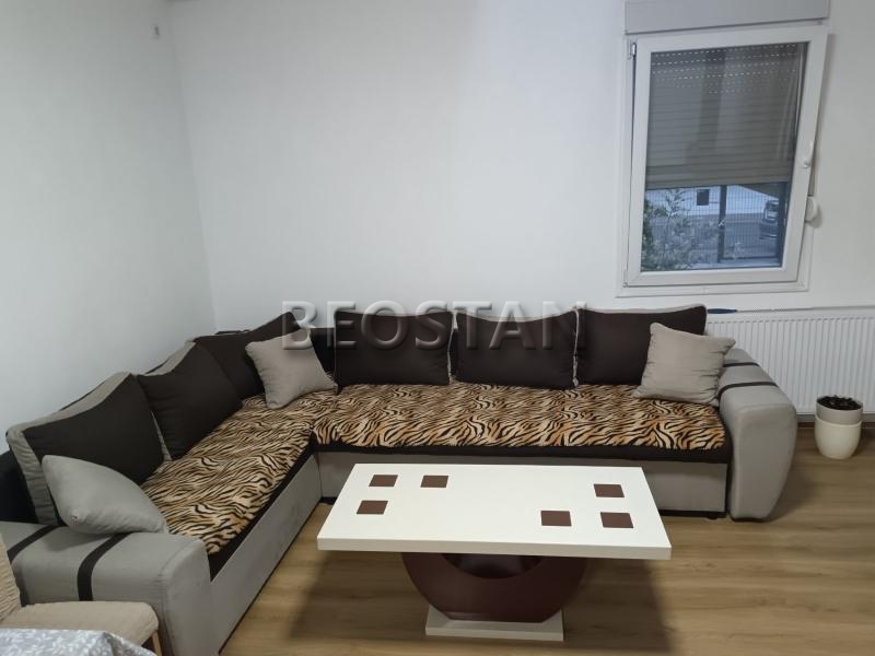 Širi centar - Aerodrom #67781