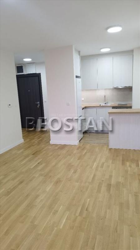 Širi centar - Zvezdara mirijevo #65407