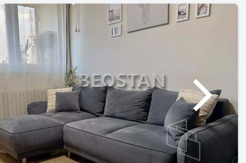 Izdavanje stanova Beograd - Novi Beograd