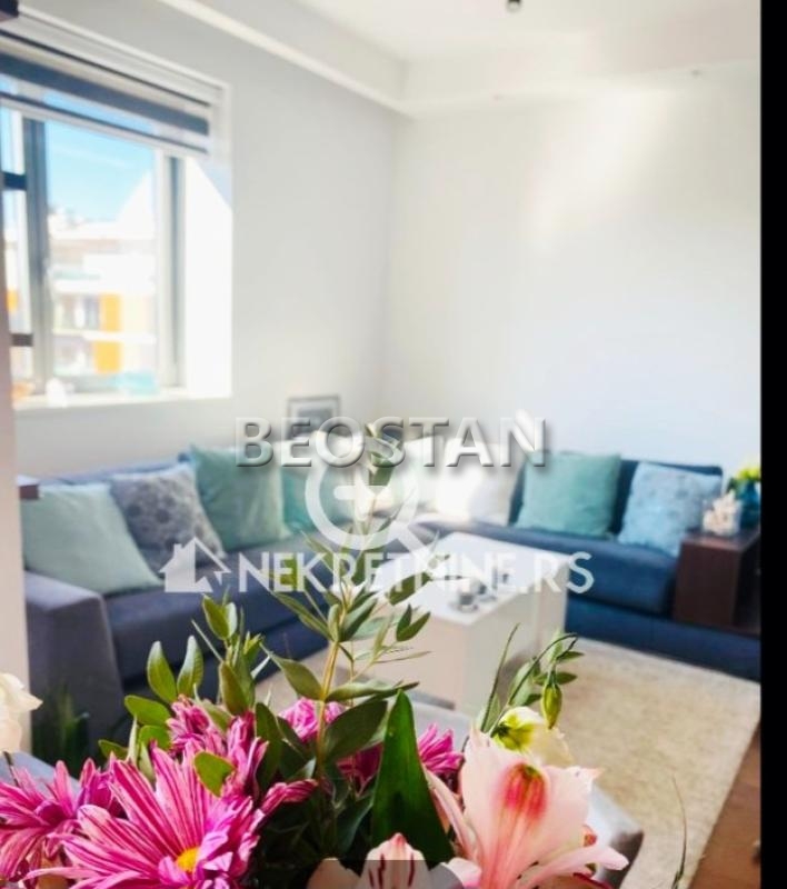 Izdavanje stanova Beograd - Novi Beograd