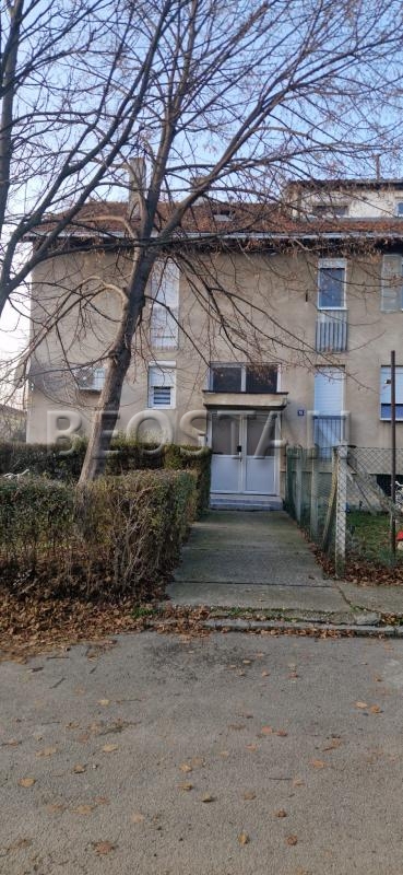 Zemun - Zemun polje #65758